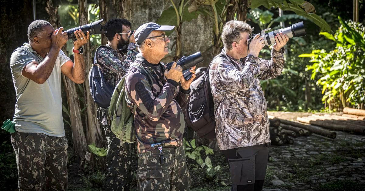 Passarinhar é preciso