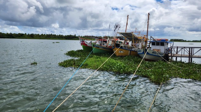 Alagoas entra na rota da Caravana Caminho dos Mares