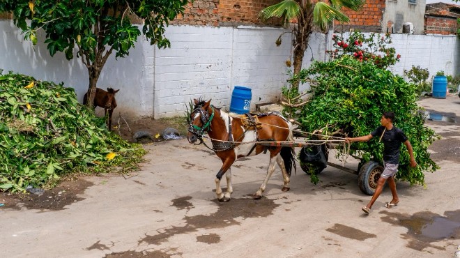 Maceió tem oito ecopontos para descarte de entulhos; veja localização