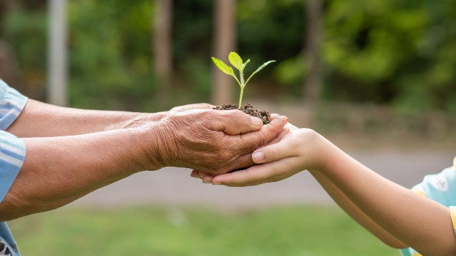 SAVE Brasil e Coletivo Acorde a Floresta promovem plantio agroflorestal em Murici