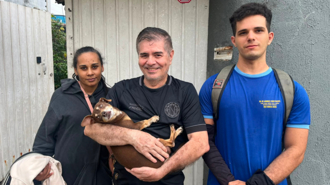 Cão idoso que estava desaparecido em Arapiraca é encontrado e devolvido à família