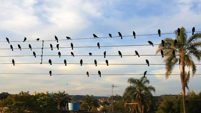 A foto que virou música, inspirou uma sinfonia e venceu o Leão de Ouro em Cannes