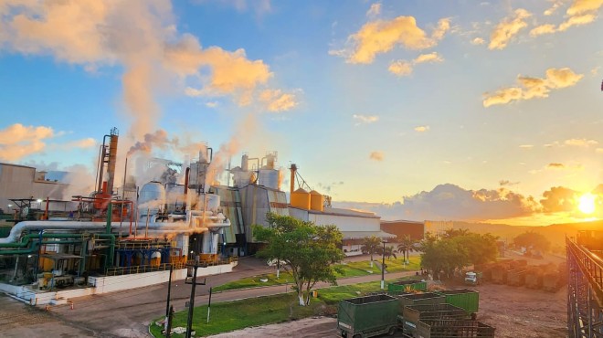Pindorama projeta crescimento de até 10% na safra 2026/27 e amplia produção de etanol de grãos
