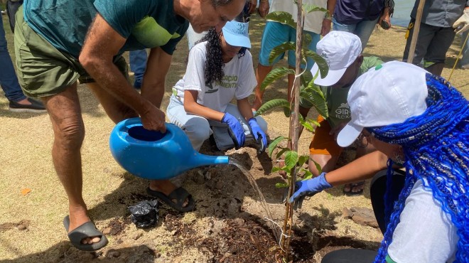 Ação ambiental leva árvores frutíferas e mais verde ao Flexal, em Bebedouro