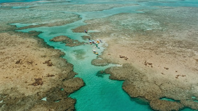 Mais uma praia em AL obtém certificação internacional de preservação ambiental